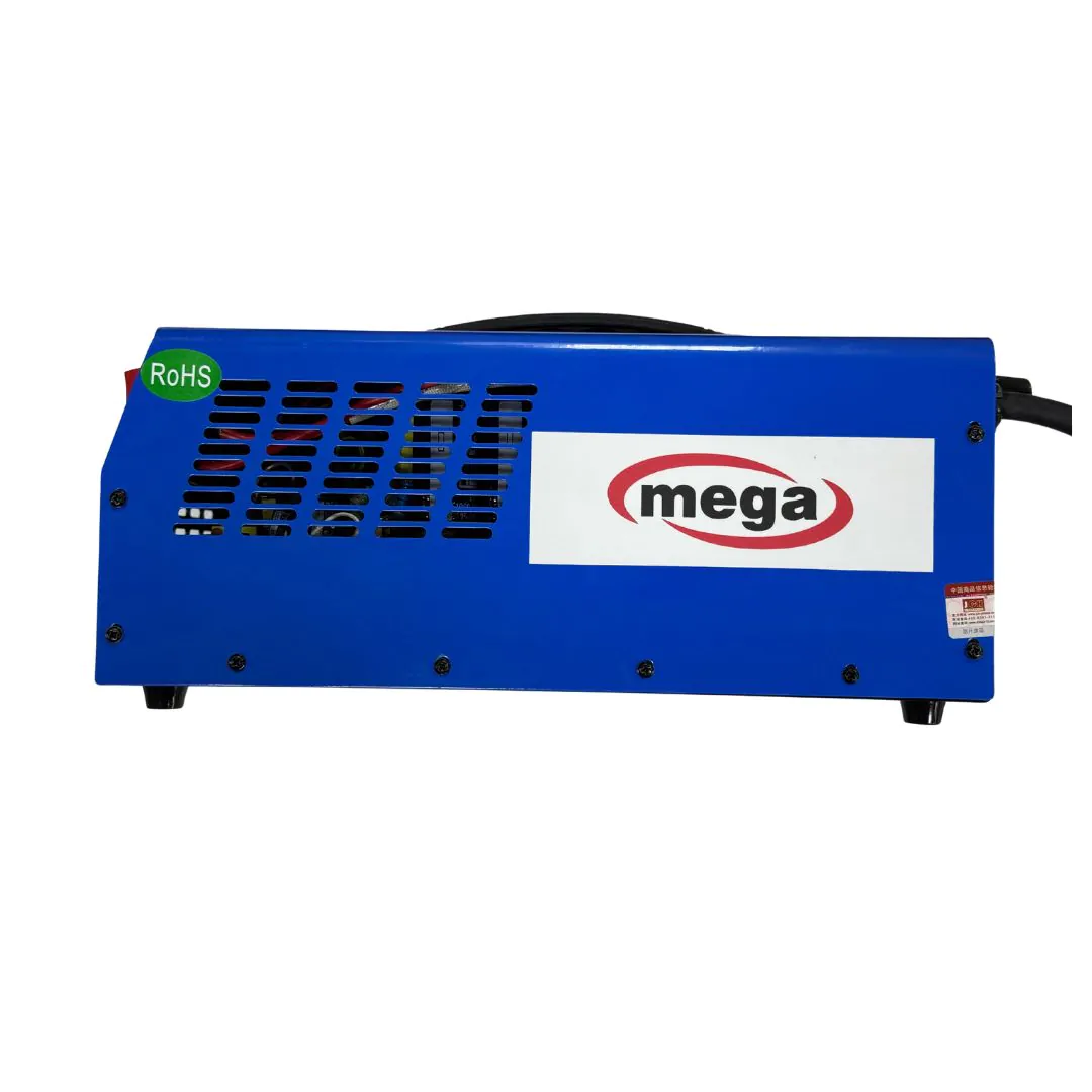 شاحن 1000W لشحن بطاريات السيارات الكهربائية - الصورة 2