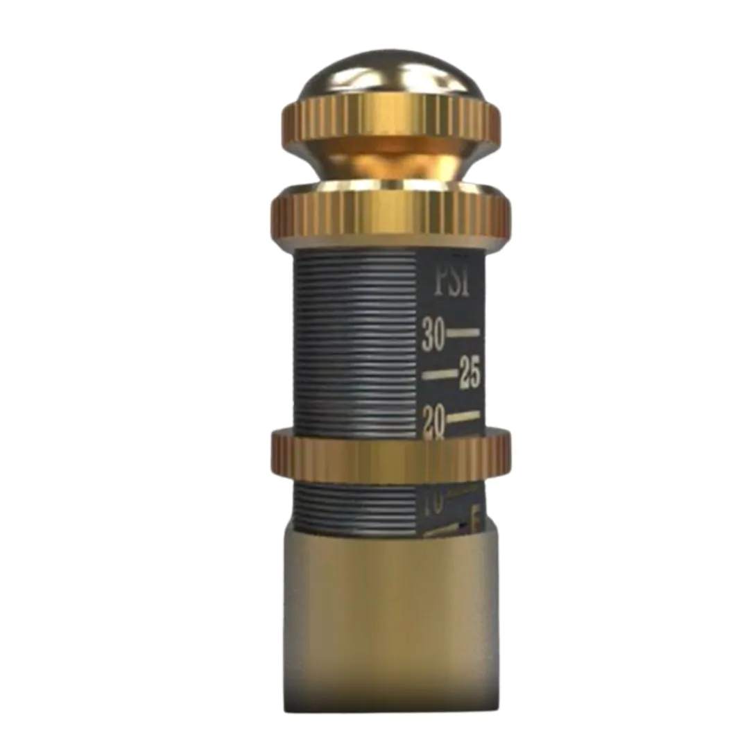 جهاز تفريغ ضغط الاطارات للصحراء و البر - Danbo Niu - الصورة 3